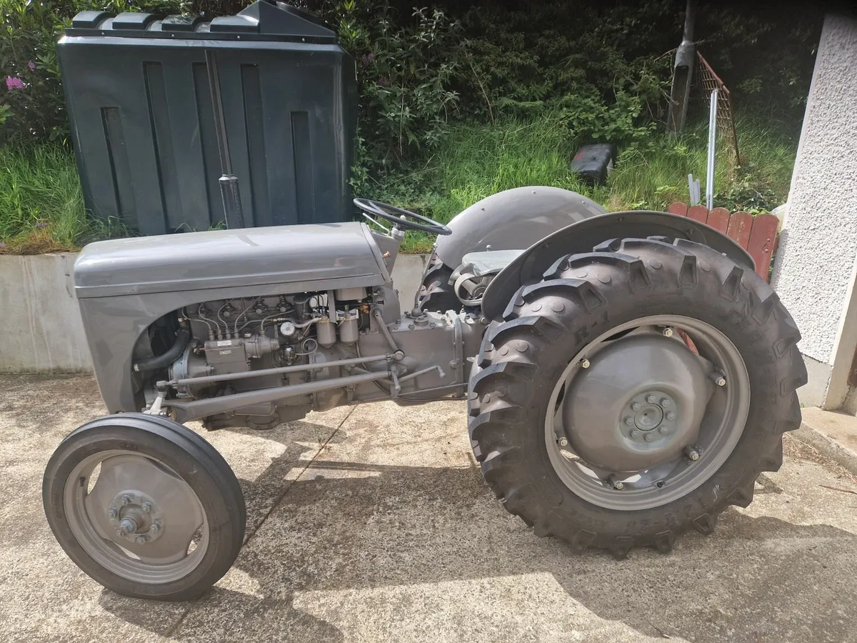 Massey Ferguson Other 1956 - Image 1