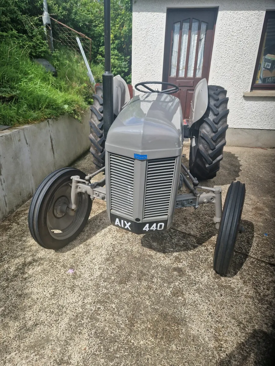 Massey Ferguson Other 1956 - Image 2