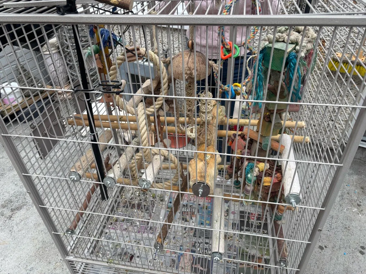 Bird breeding cage - Image 1