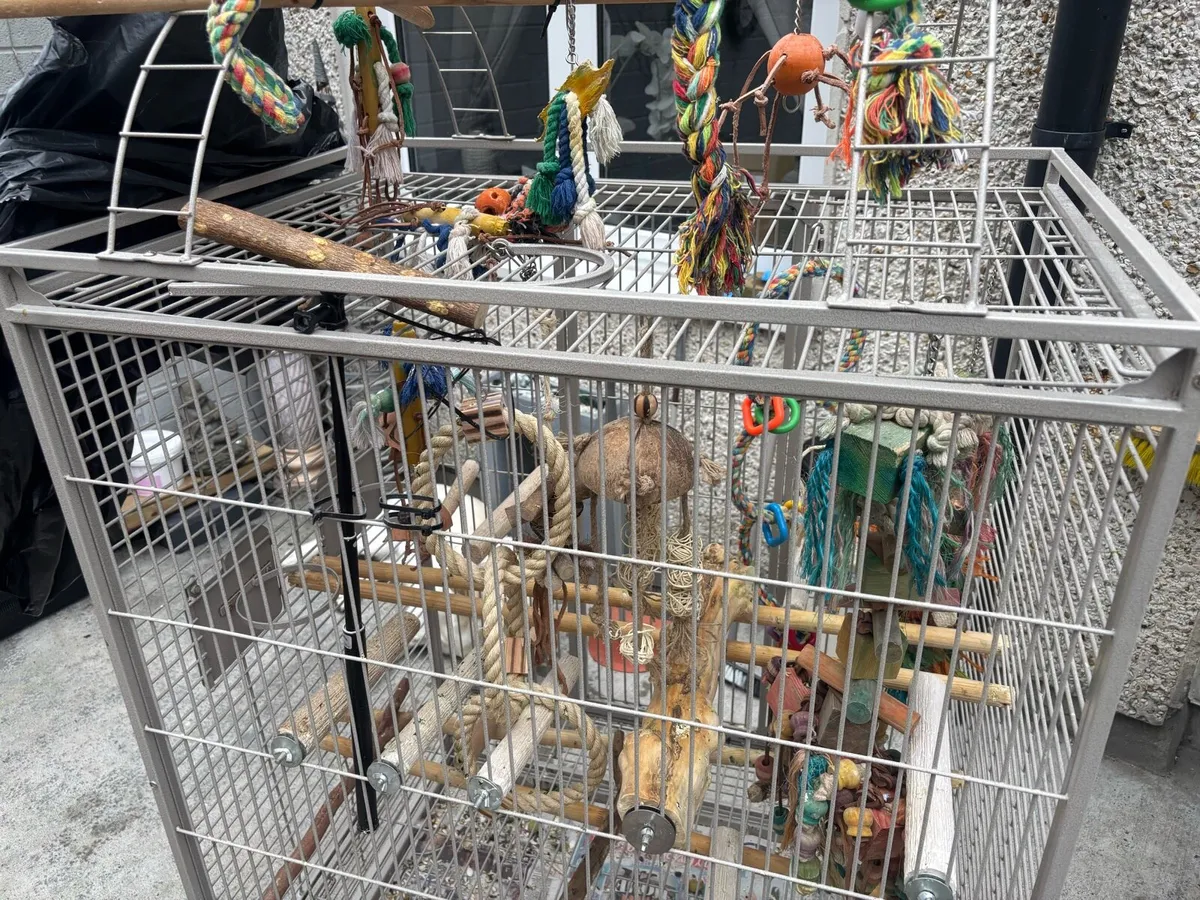Bird breeding cage - Image 2