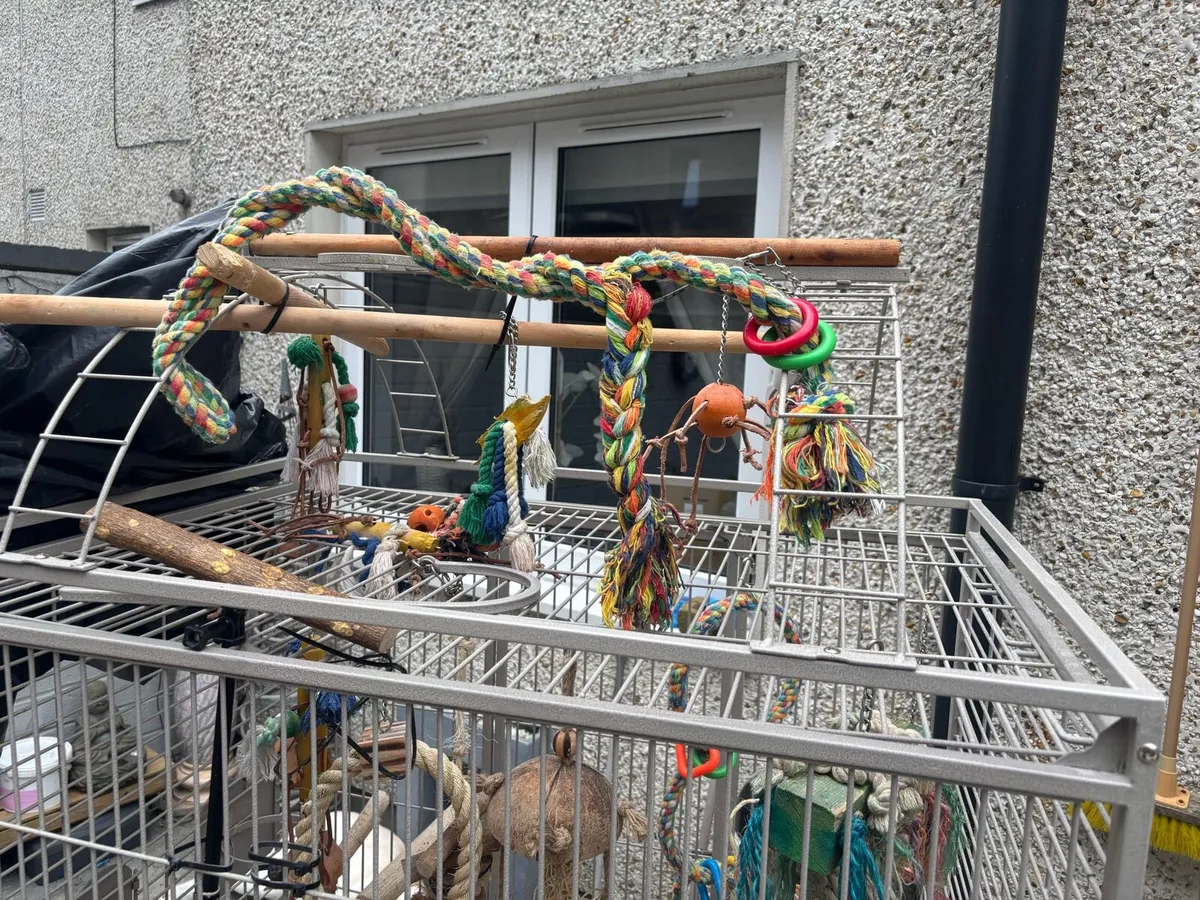 Bird breeding cage - Image 4
