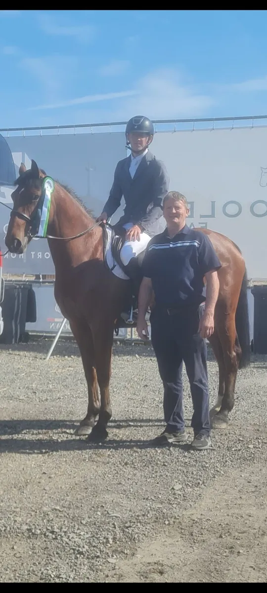 Showjumper - Image 2