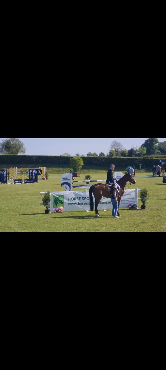 Showjumper - Image 4