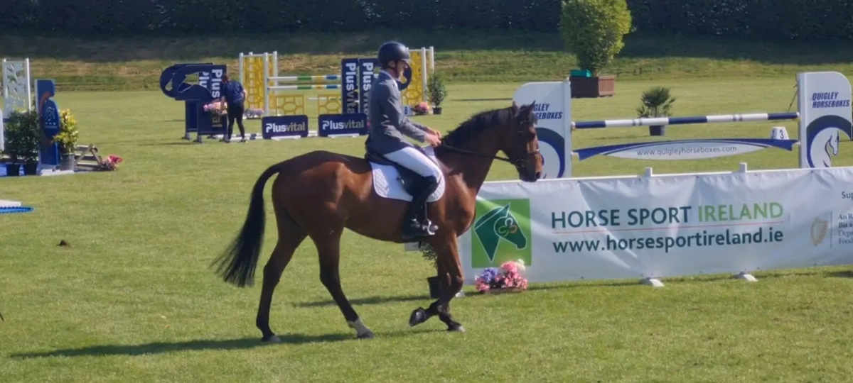 Showjumper - Image 1