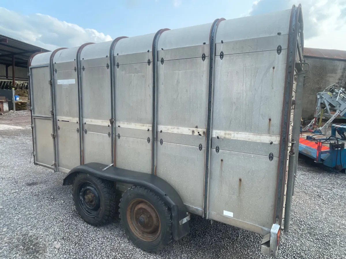 Ifor Williams 12ft x 5ft cattle / sheep trailer - Image 2