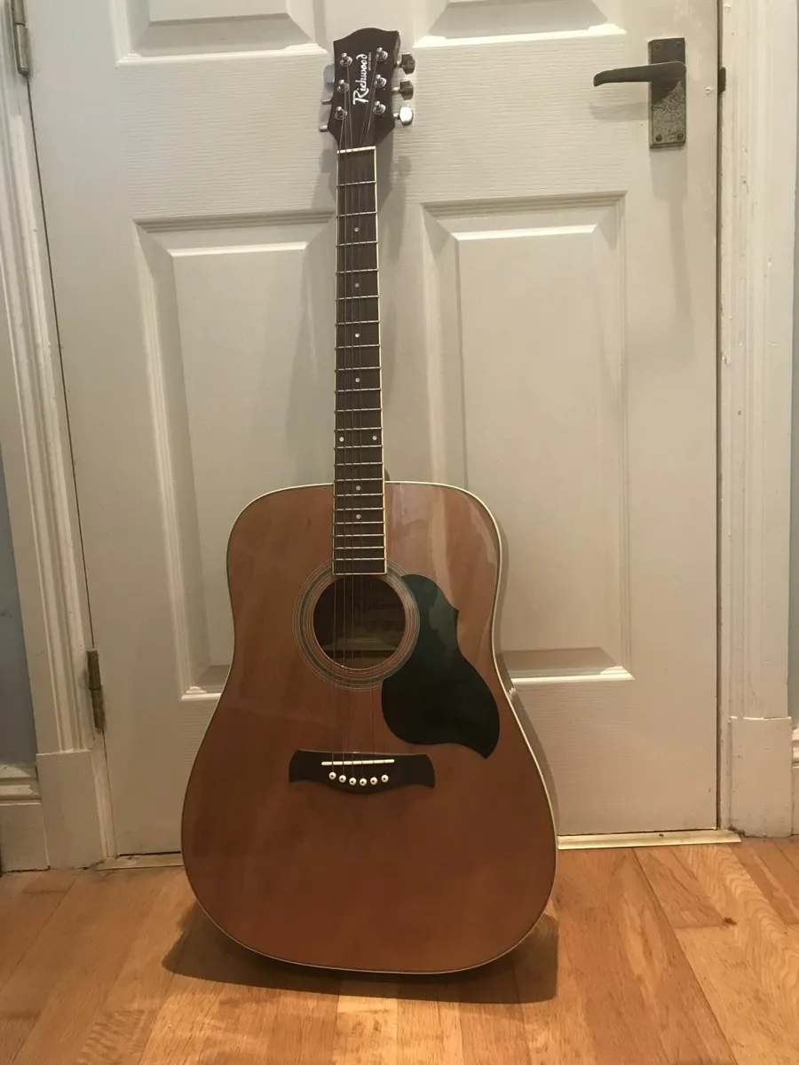 Richwood artist series 12 guitar - Image 1