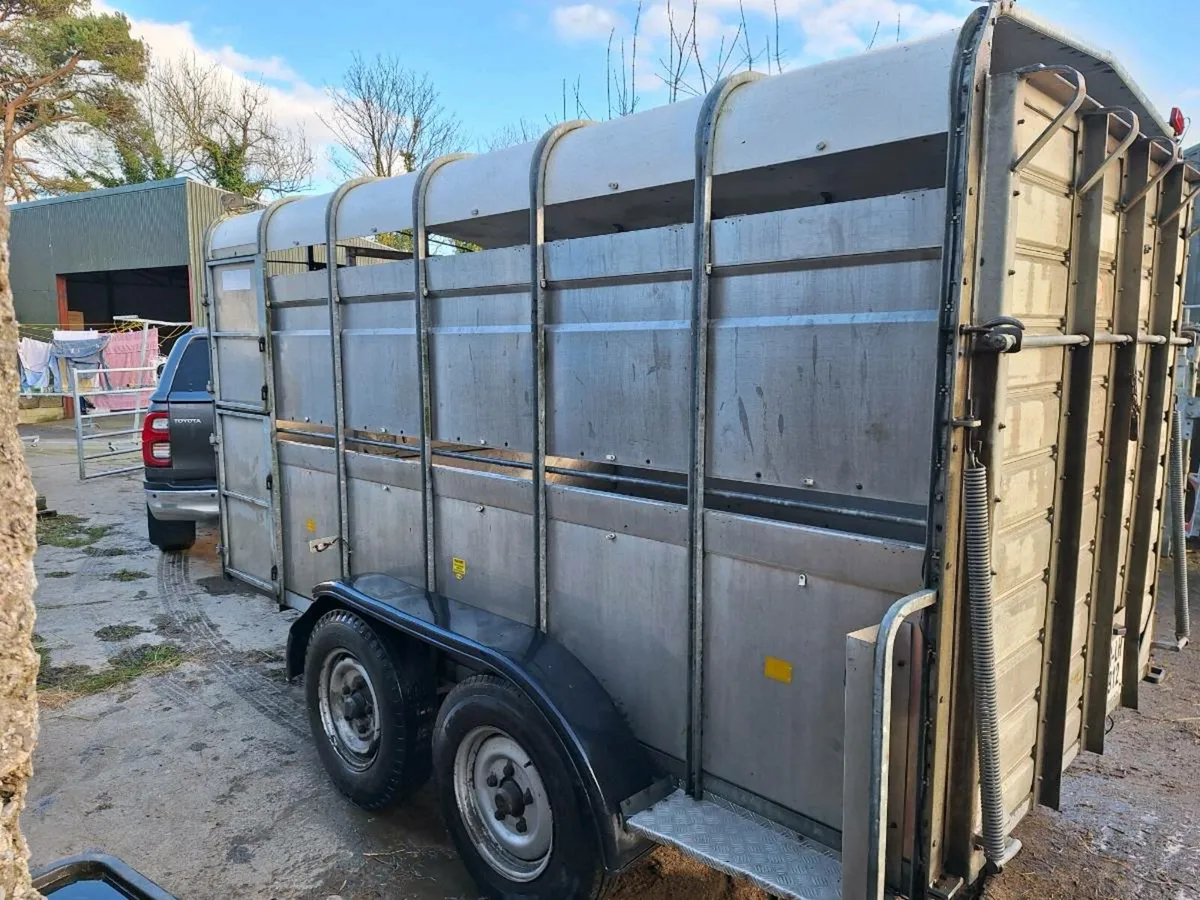 Cattle Trailer - Image 2