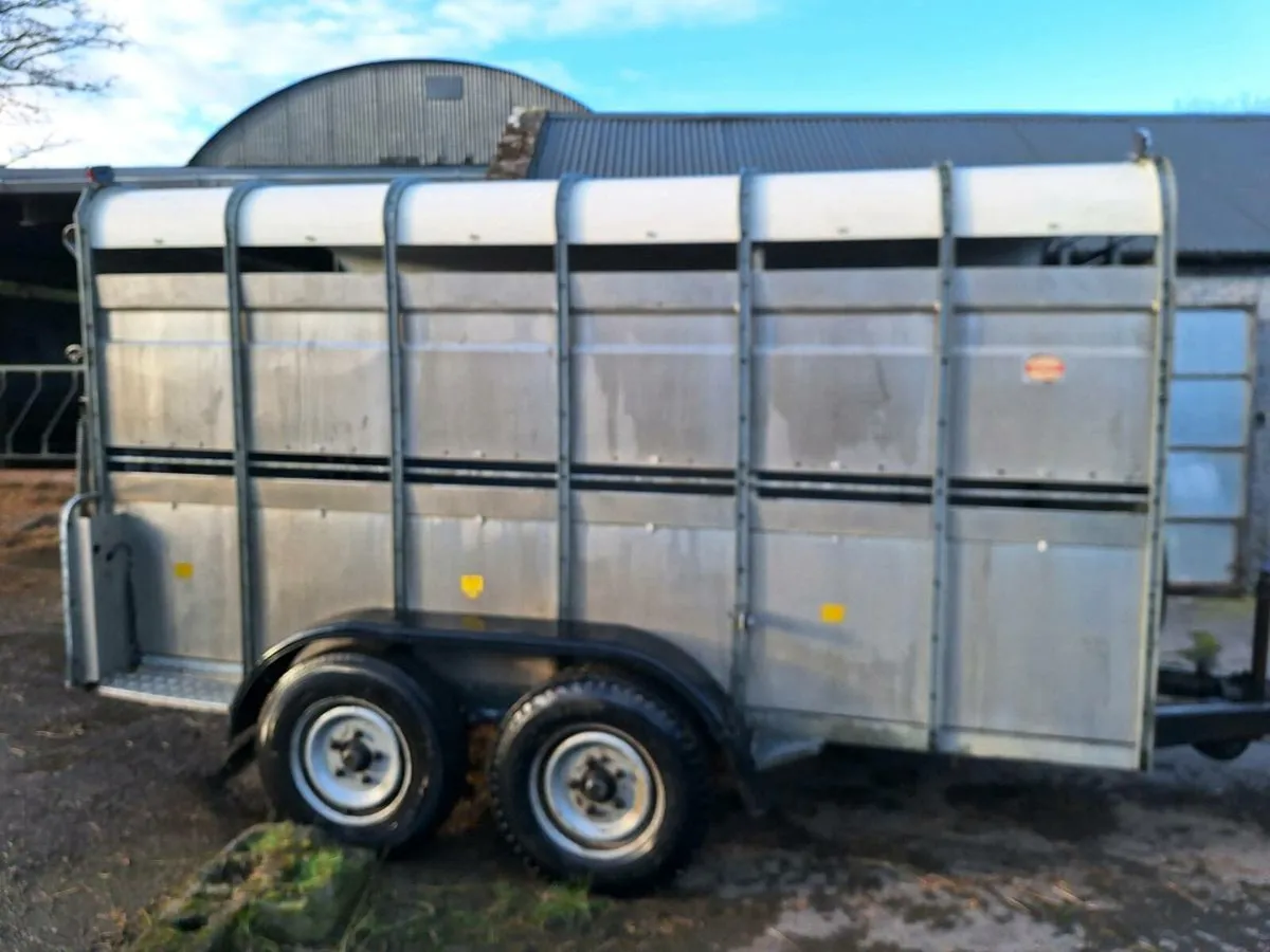 Cattle Trailer - Image 4