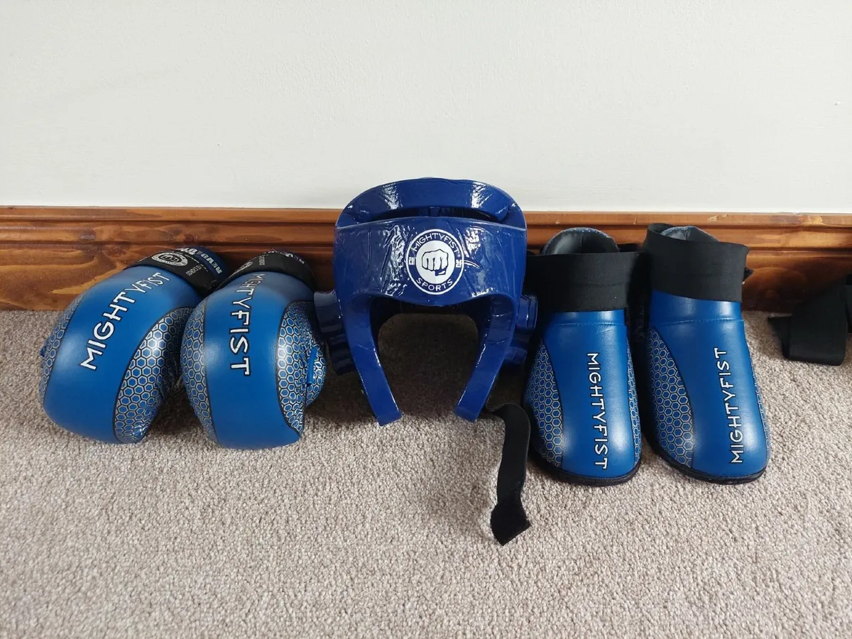 Taekwondo Sparing Gear - Image 2