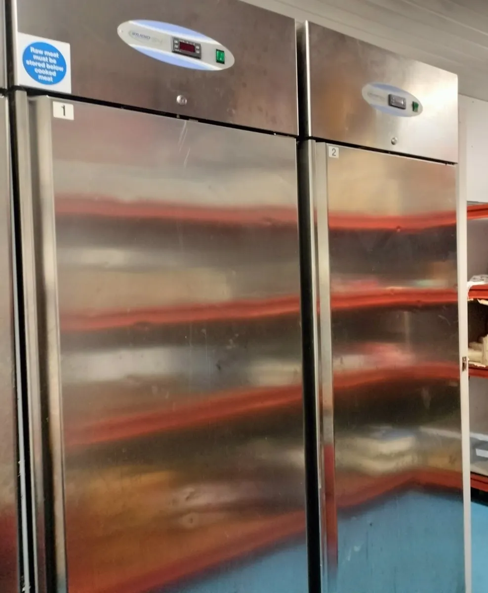 Stainless Steel Upright Freezer - Image 1