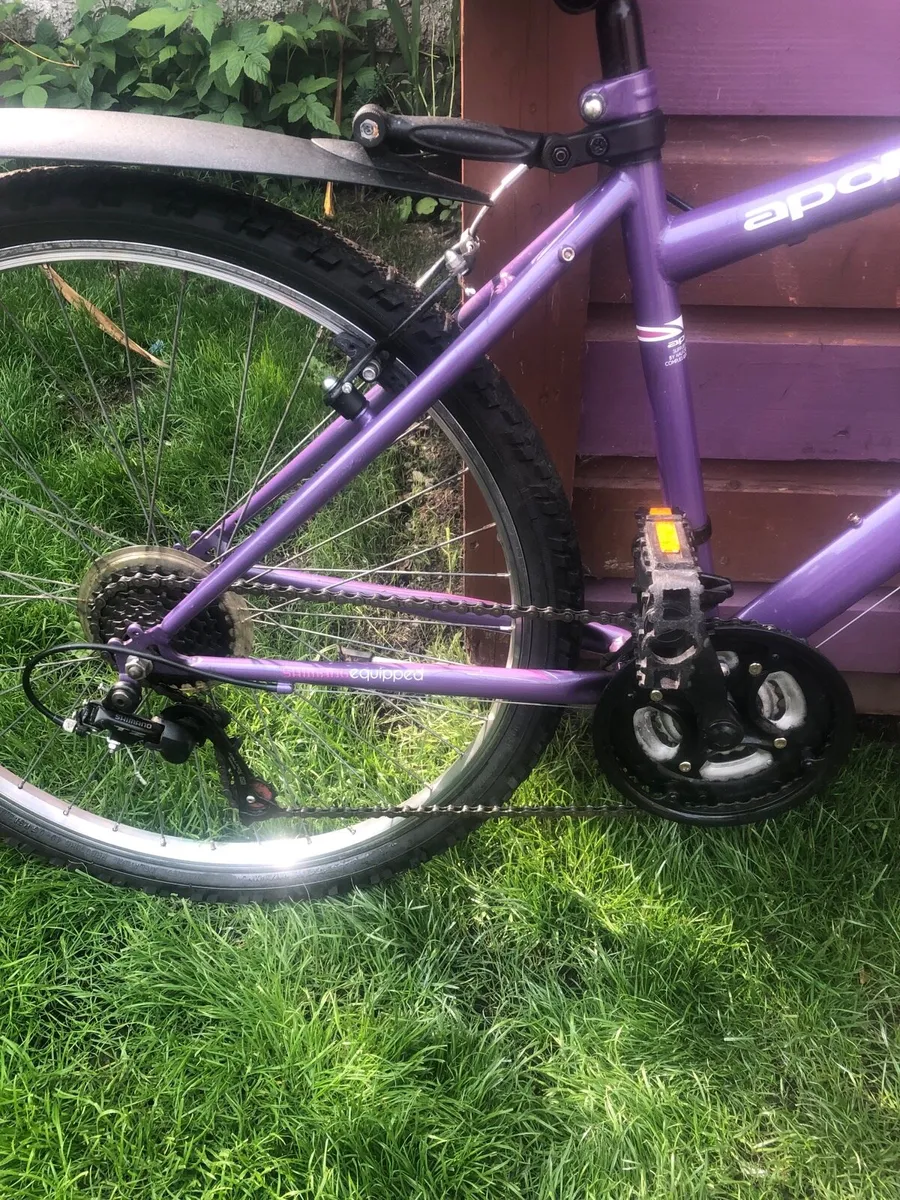 Girls Apollo Twilight bike - Image 4