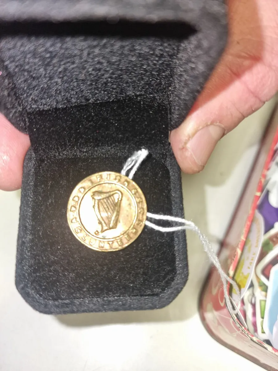 Irish National Volunteers Pin Badge - Image 2