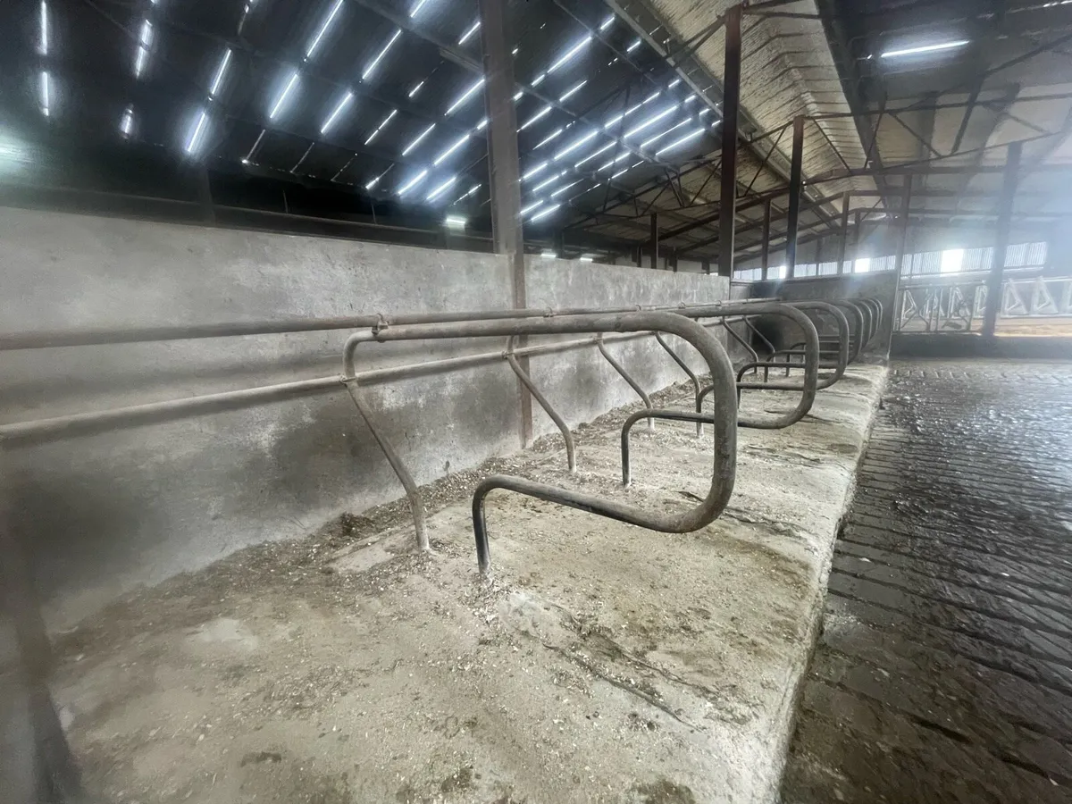 Cubicles and Mats for sale - Image 1