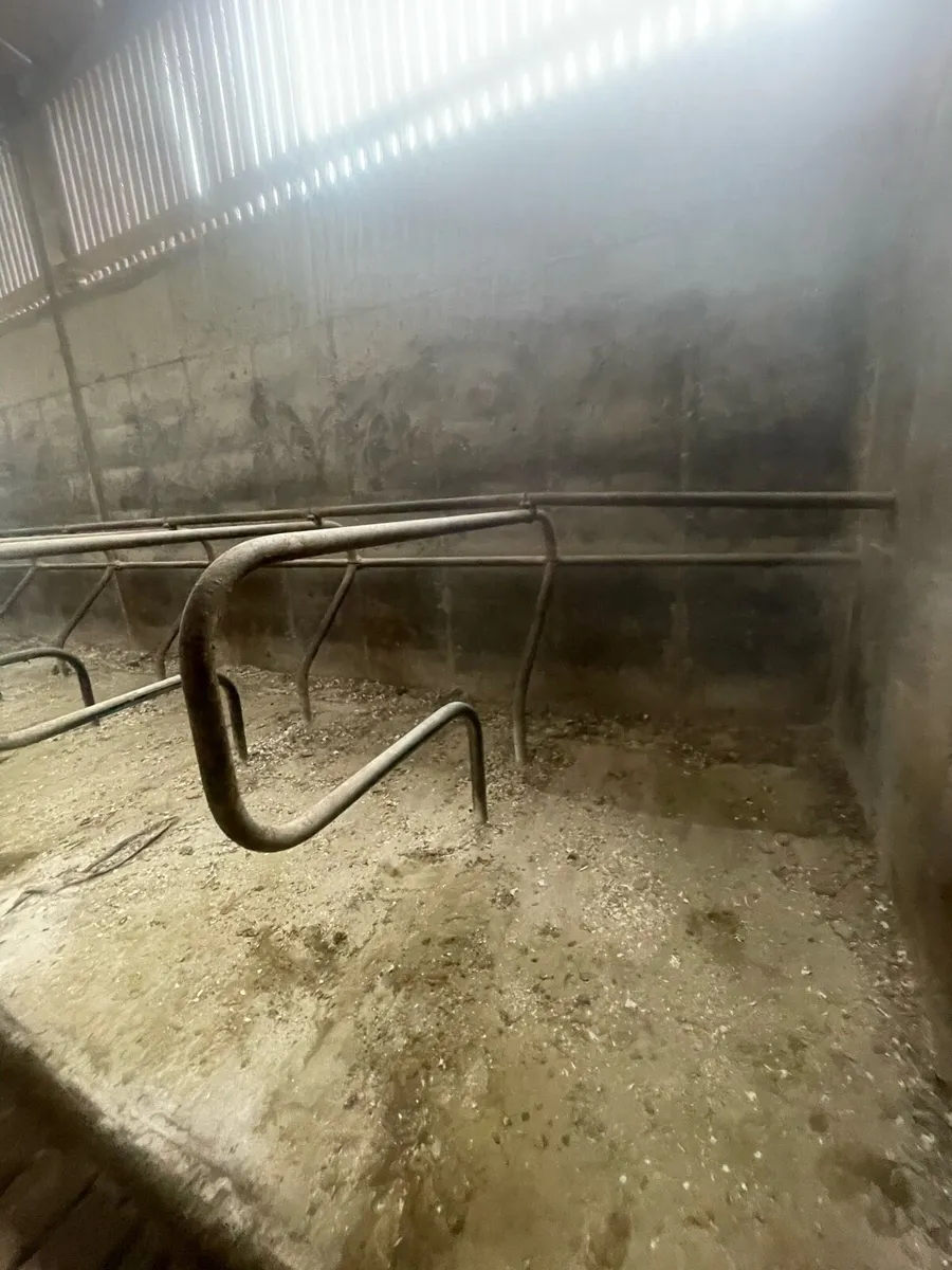 Cubicles and Mats for sale - Image 3
