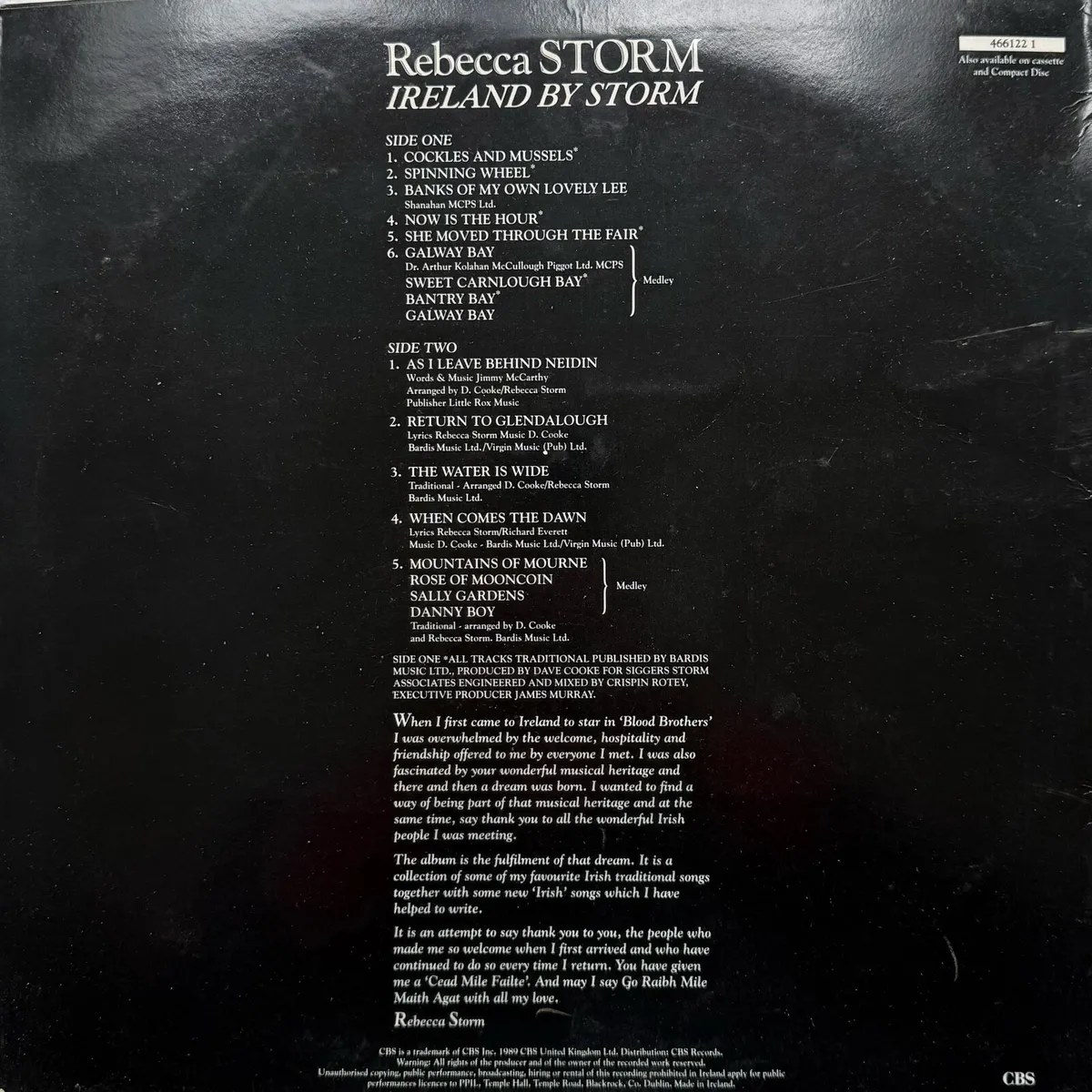 Vinyl LP - Rebecca Storm - Rebecca by Storm - Image 2
