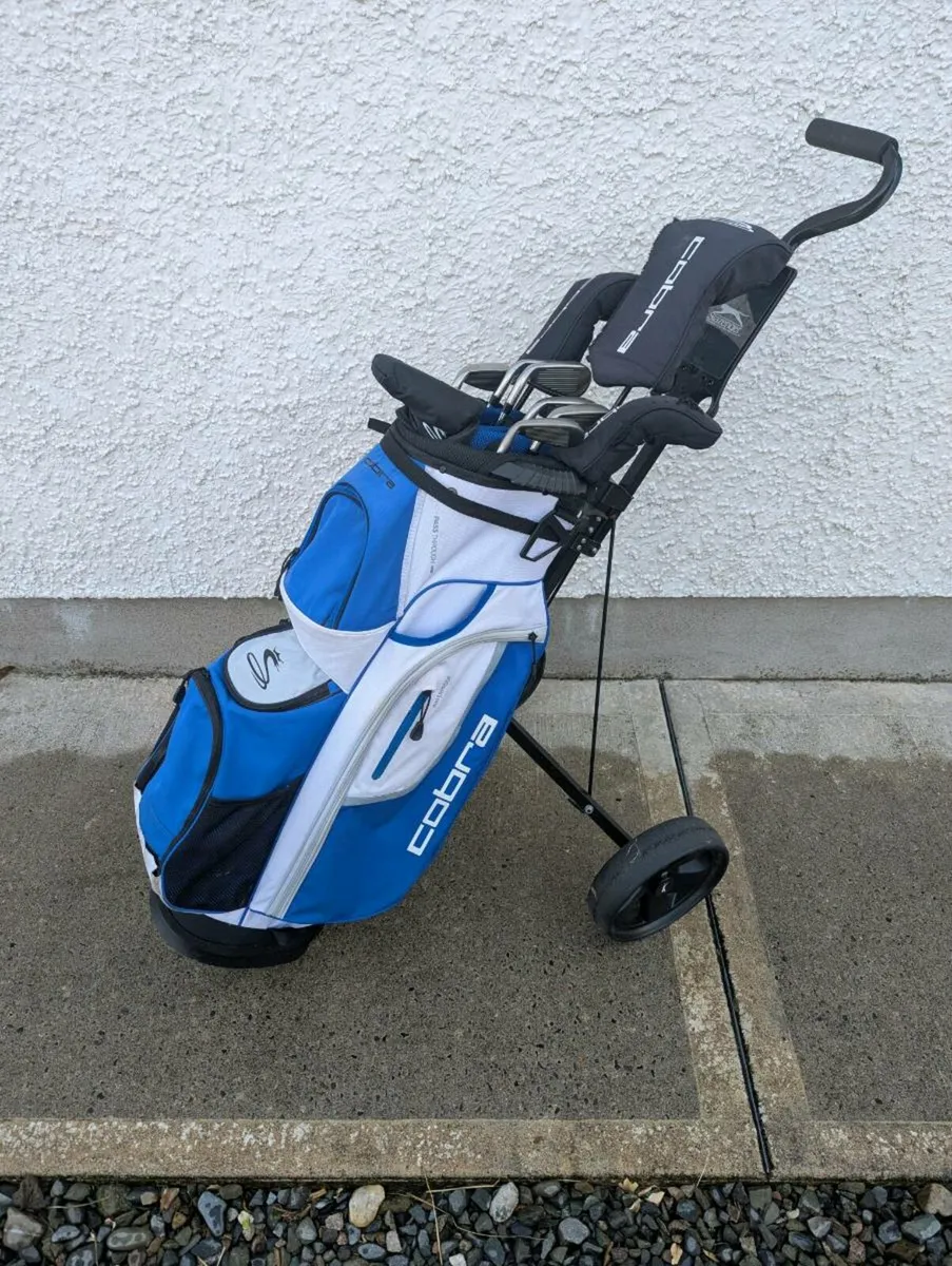 Golf club set - Image 1