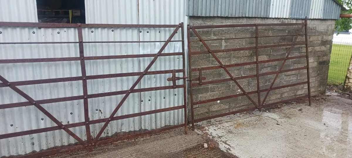 Original Hand Forged Iron Farm Gates - Image 1