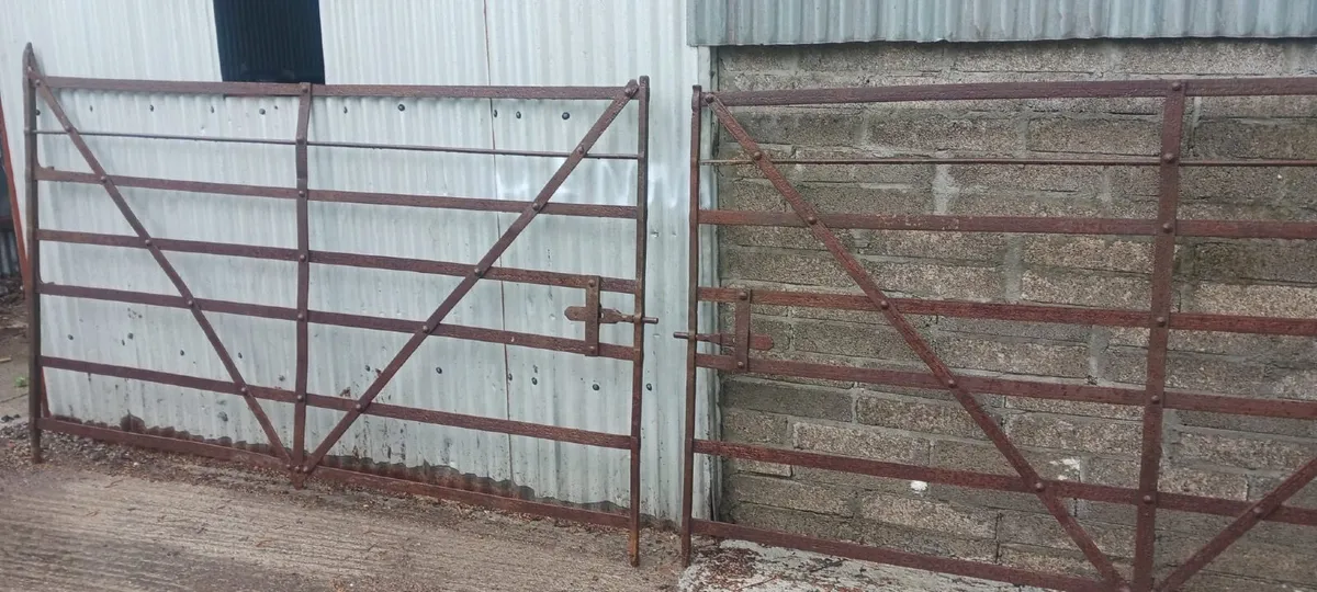 Original Hand Forged Iron Farm Gates - Image 2