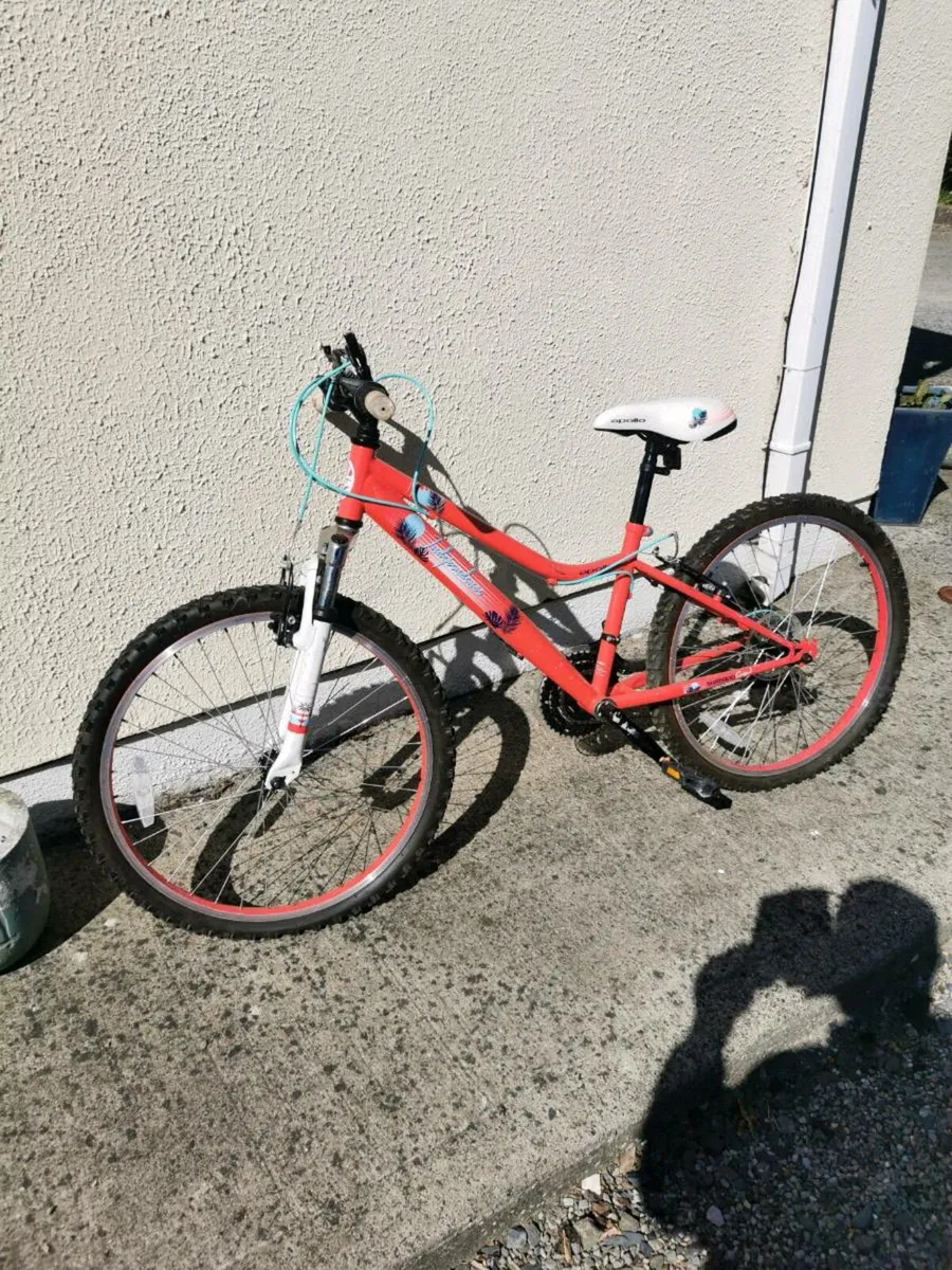 Junior bike - Image 1