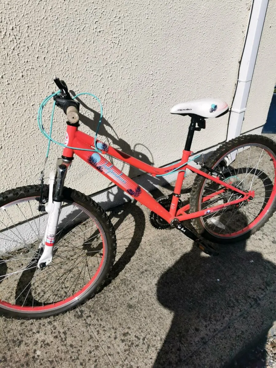 Junior bike - Image 2