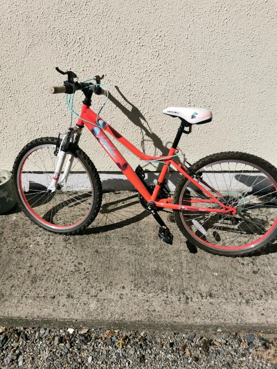 Junior bike - Image 3