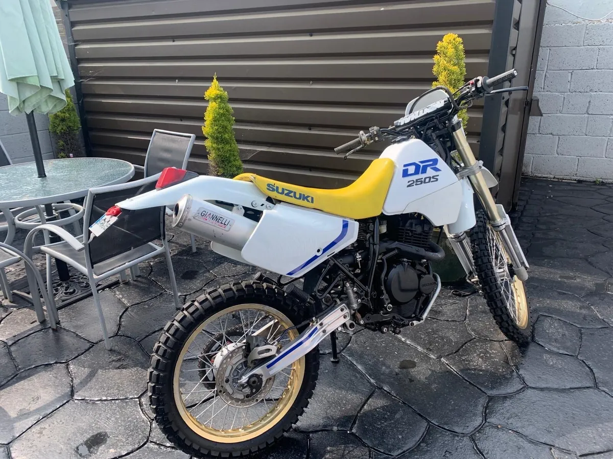 Suzuki DR250 - Image 1