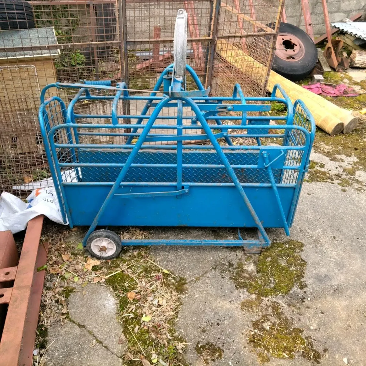 Lamb weigh bridge - Image 2