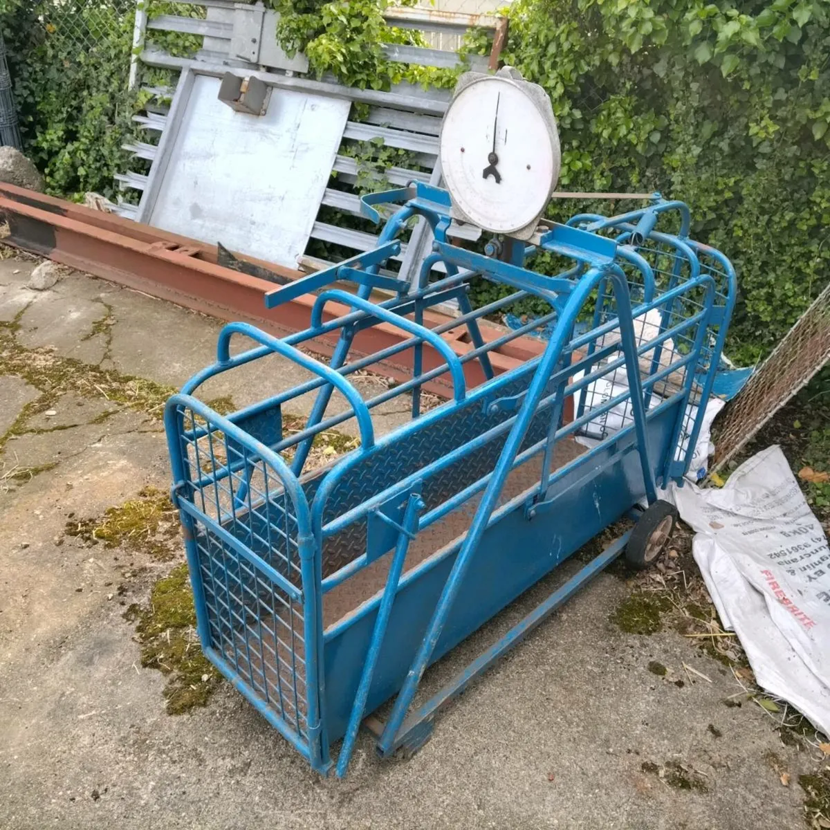 Lamb weigh bridge - Image 3