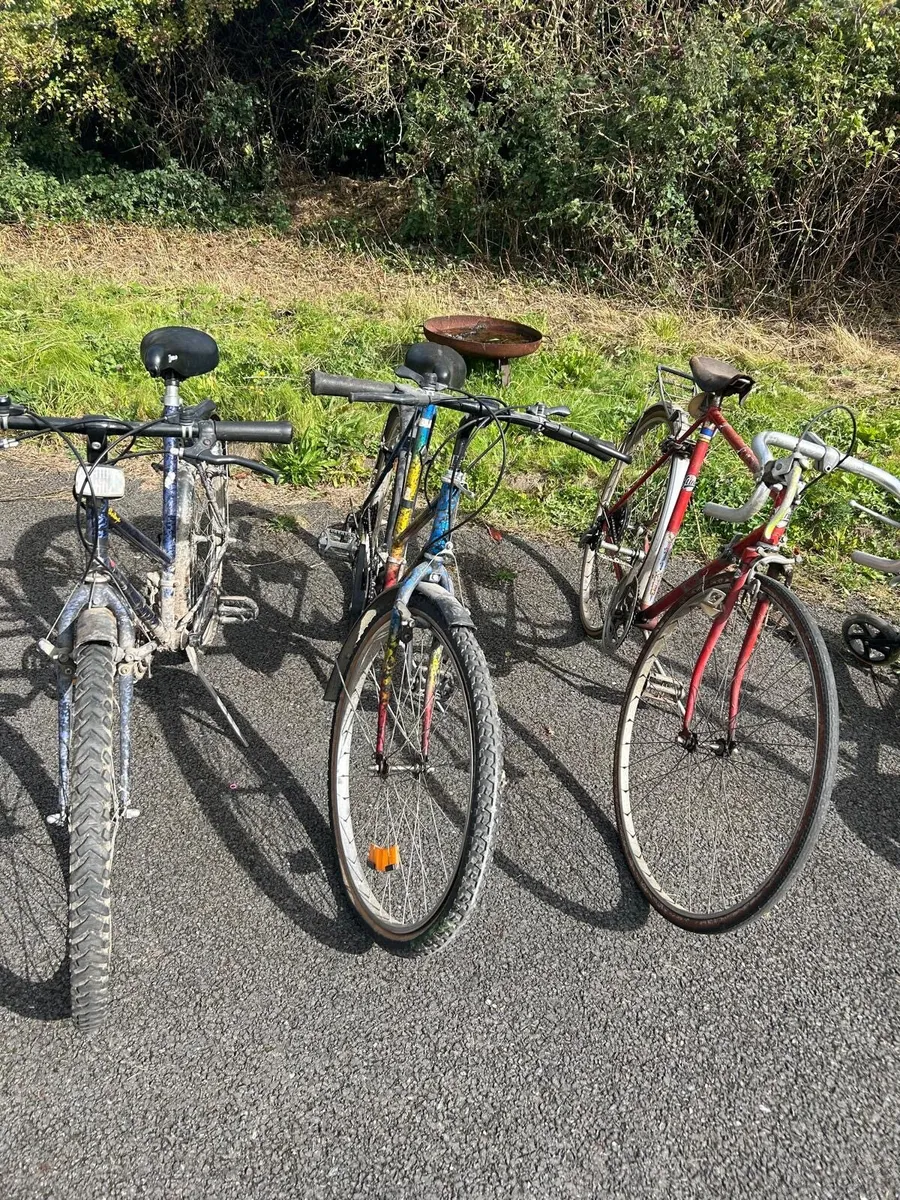 Bikes - Image 2