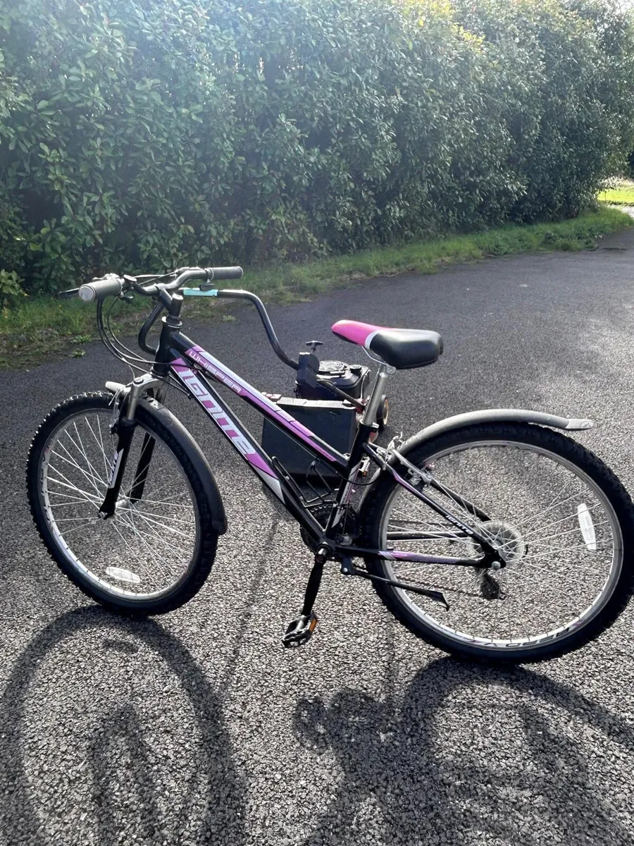 Bikes - Image 4