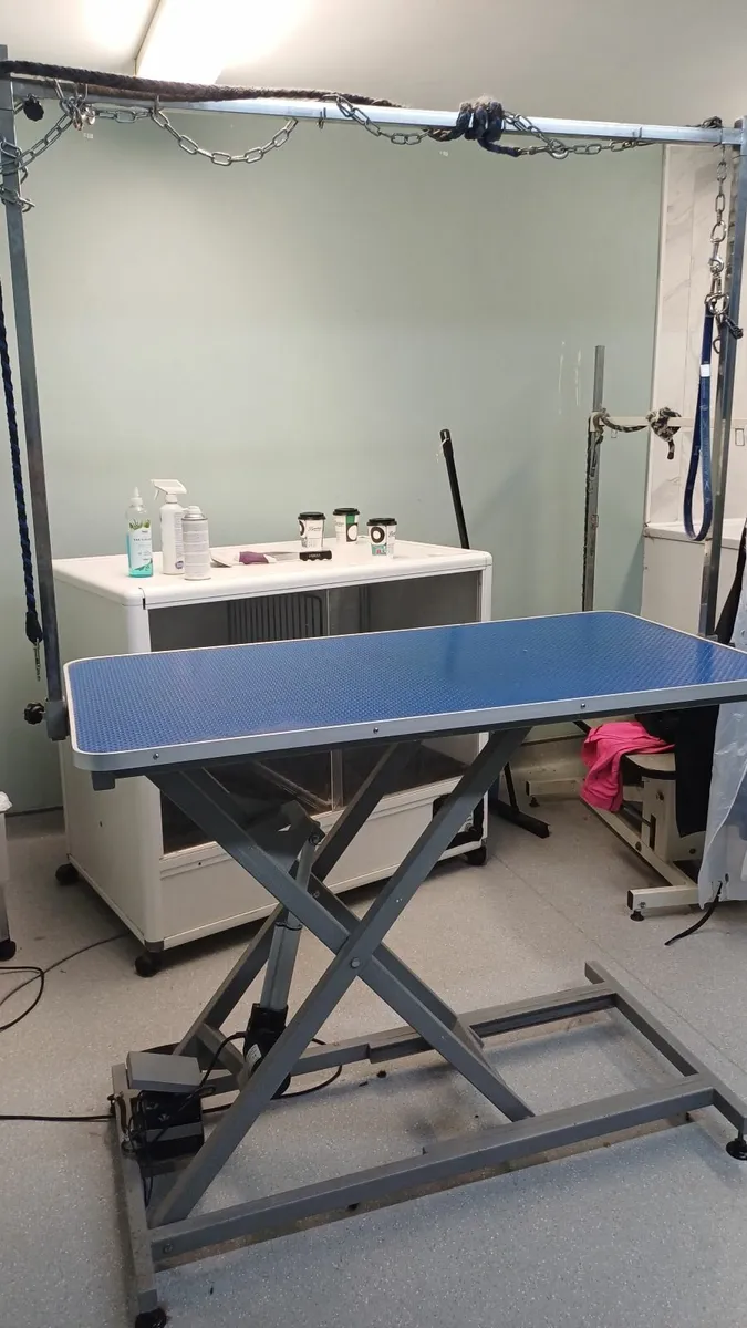 Electric Dog grooming table - Image 1