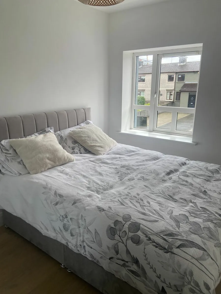 Apartment for rent 400m from Eyre Square - Image 3