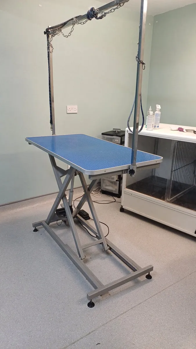 Electric Dog grooming table - Image 2