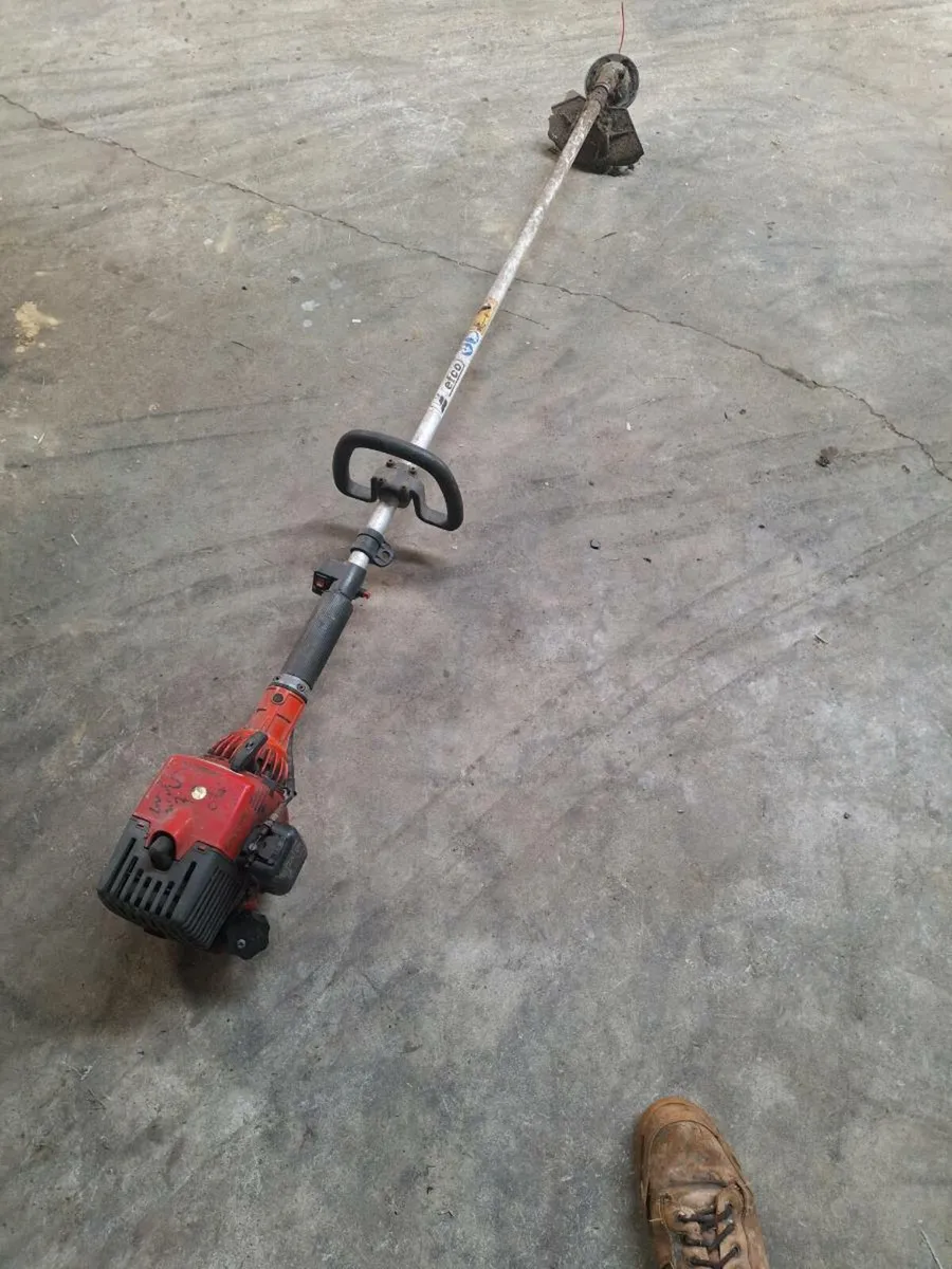 Petrol strimers - Image 1