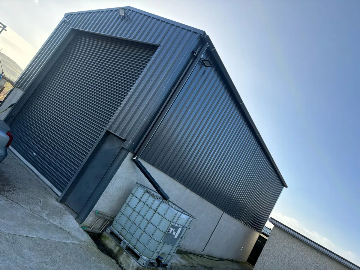 Shed - Image 3