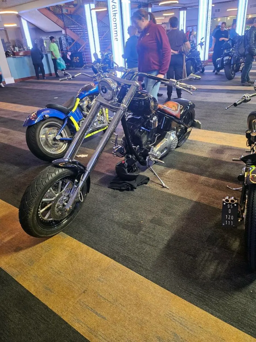 03 harley Davison hardball chopper - Image 2