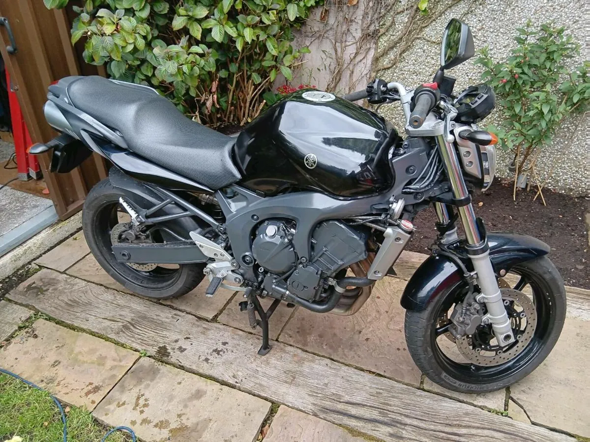 Yamaha fz6 2007 - Image 2