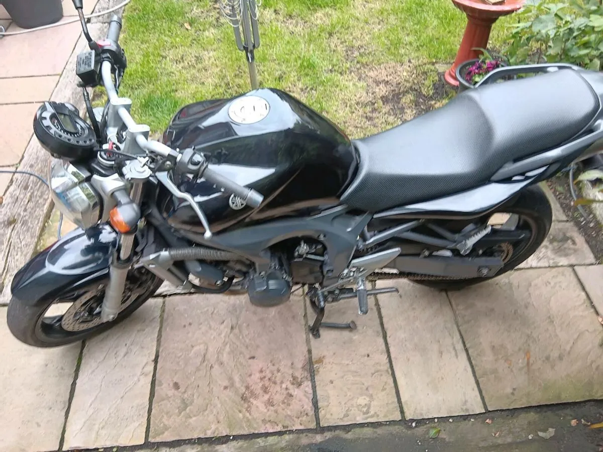 Yamaha fz6 2007 - Image 3