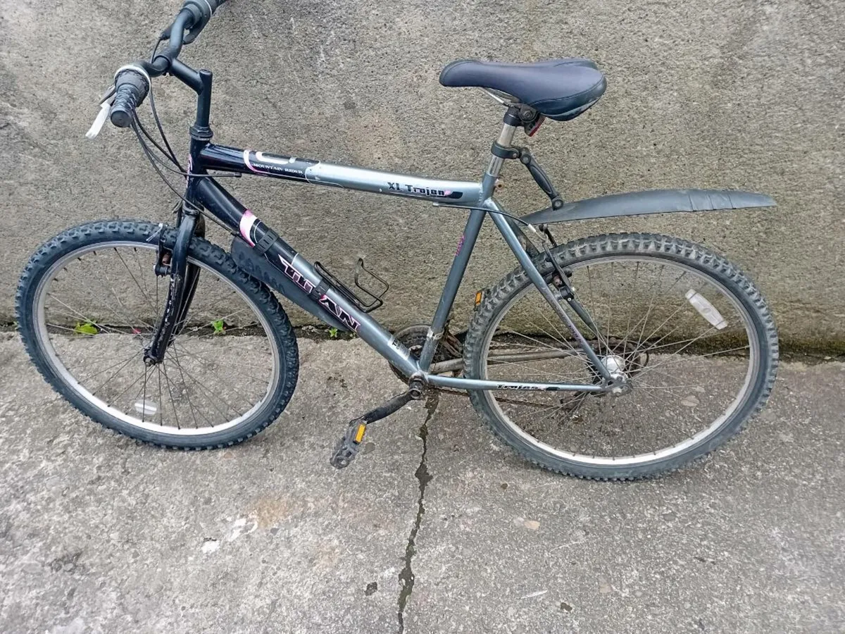 Adult bike - Image 1