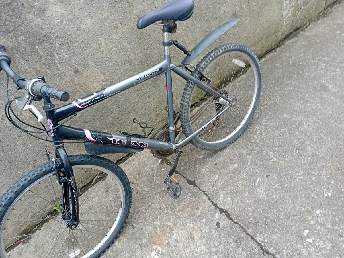 Adult bike - Image 2