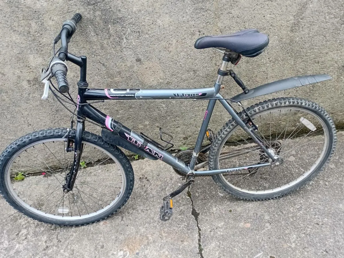 Adult bike - Image 3