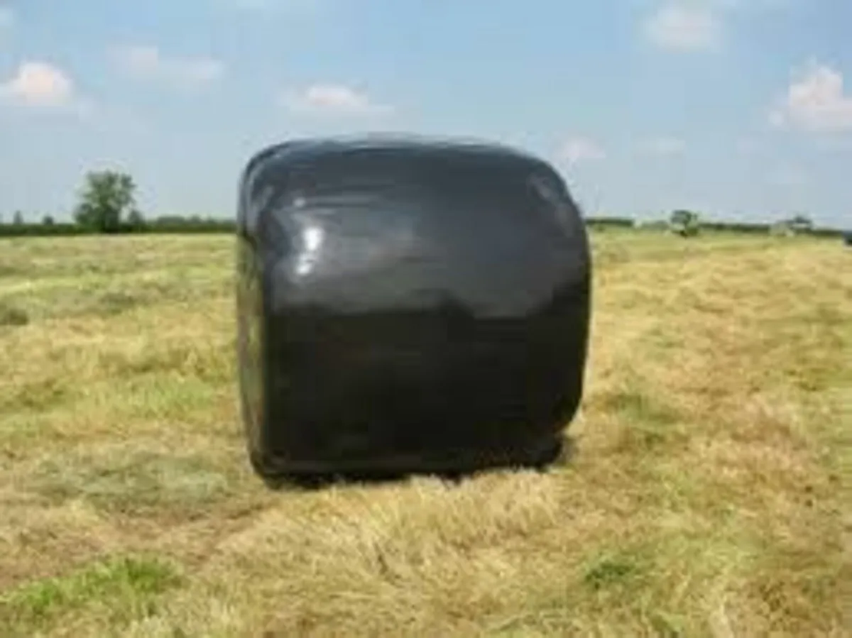 Wrapped bales haylage & 100 Small Straw Bales