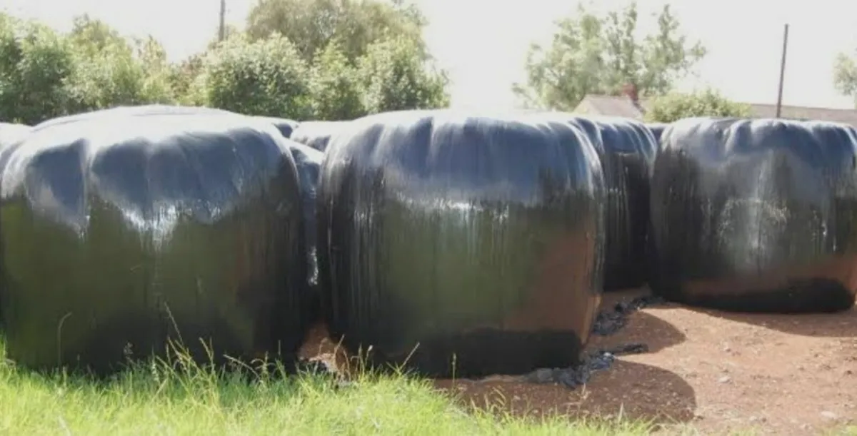 Round bales & Pit silage - Image 1