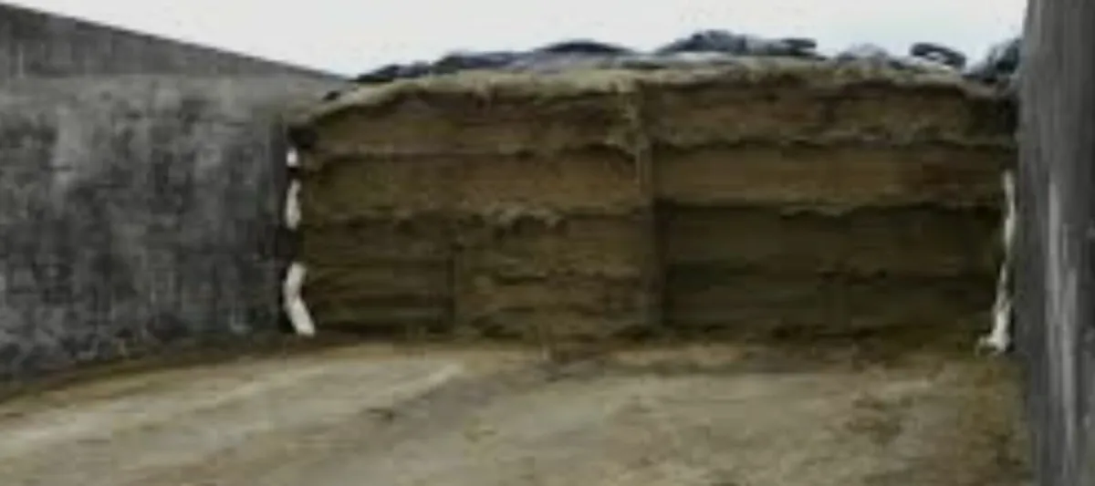 Round bales & Pit silage - Image 2