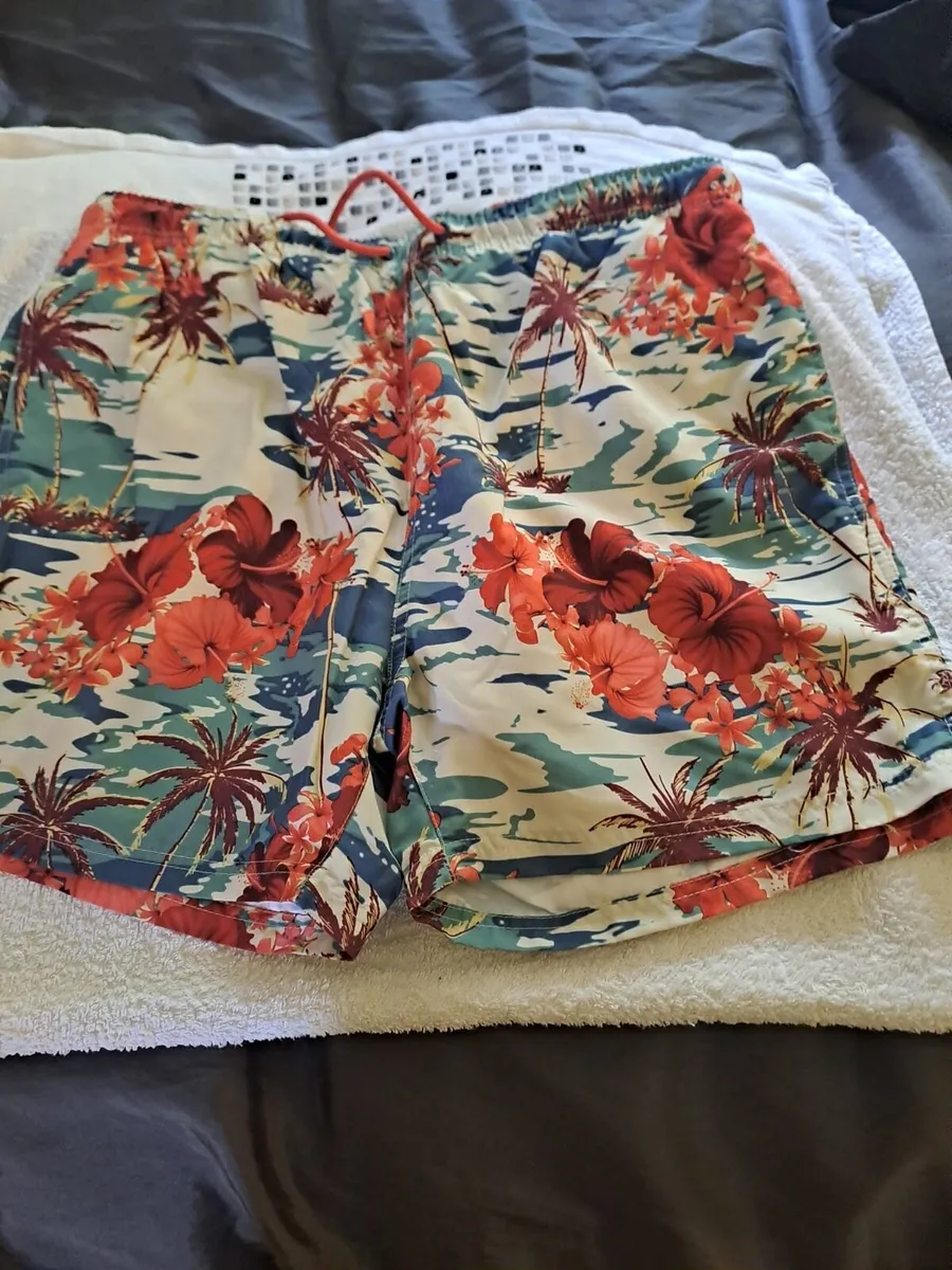 Free summer holiday shorts - Image 2