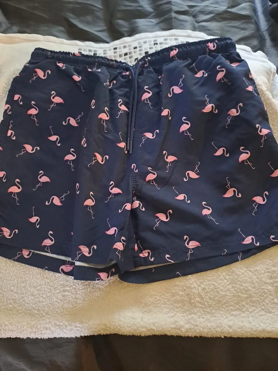 Free summer holiday shorts - Image 4
