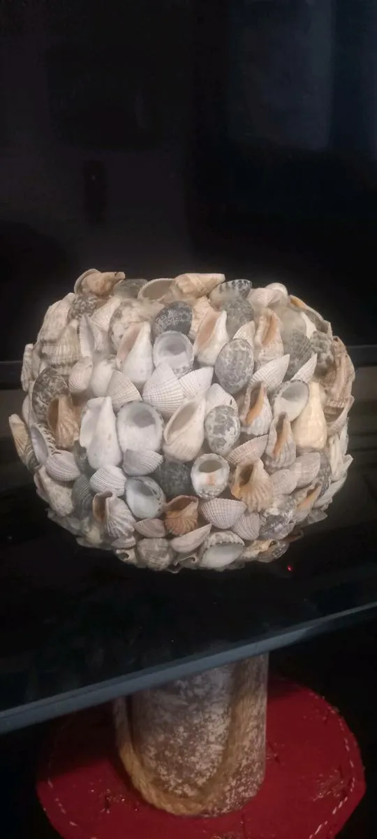 Lovely Hand crafted Seashell plant pot - Image 2