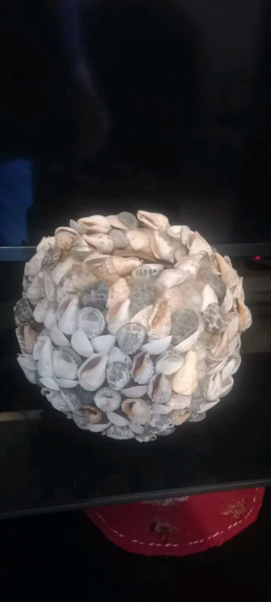Lovely Hand crafted Seashell plant pot - Image 3