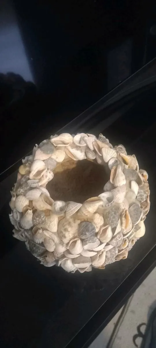 Lovely Hand crafted Seashell plant pot - Image 4