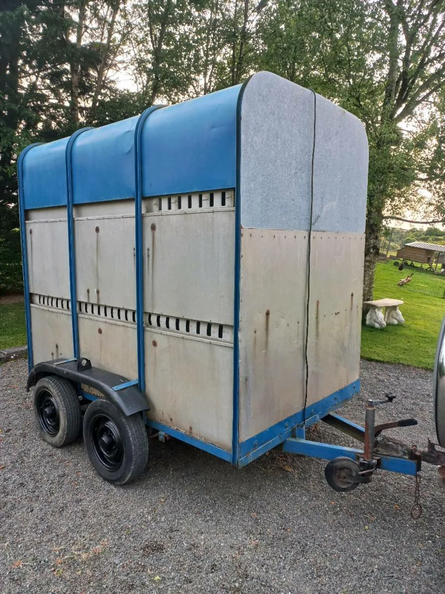 High Roof Ifor Williams 8 x 4 Horse / Cattle Box - Image 1